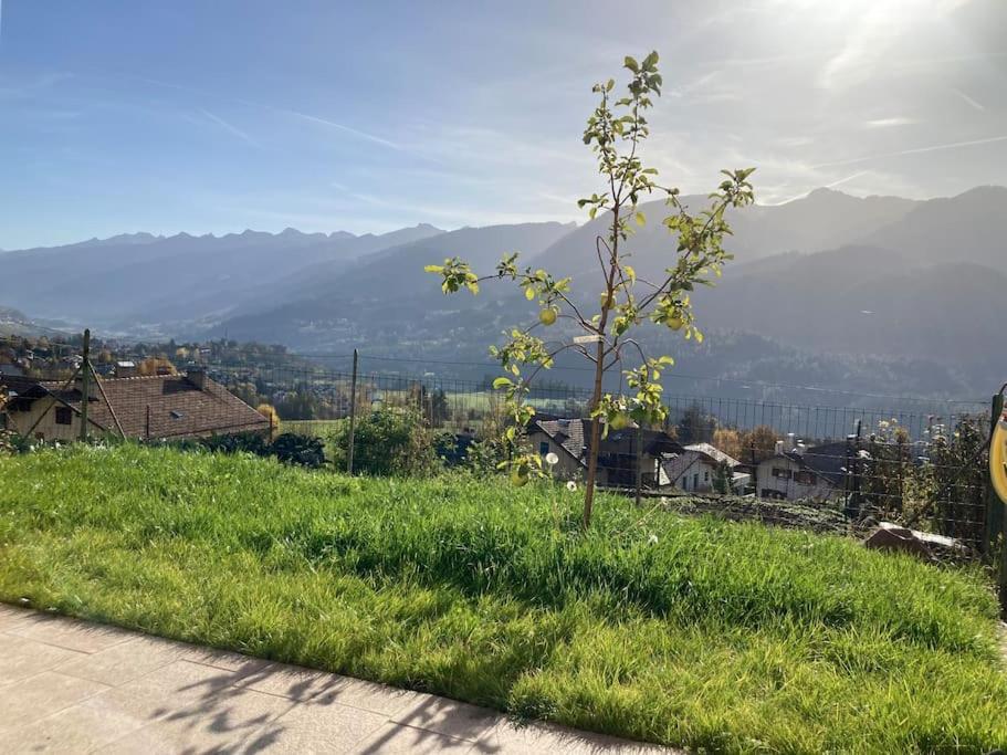 Casa Diaf Appartamento Incantevole Carano Ville Di Fiemme Buitenkant foto